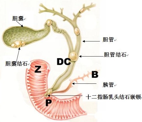 20150608140526127.jpg