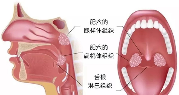 未標題-1.jpg