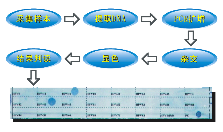 未標(biāo)題-1